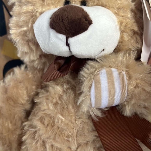 Get Your Hands on a Ganz Campbell Teddy Bear 13”Plush Stuffed Animal Hug Me 🐻 - Picture 6 of 17